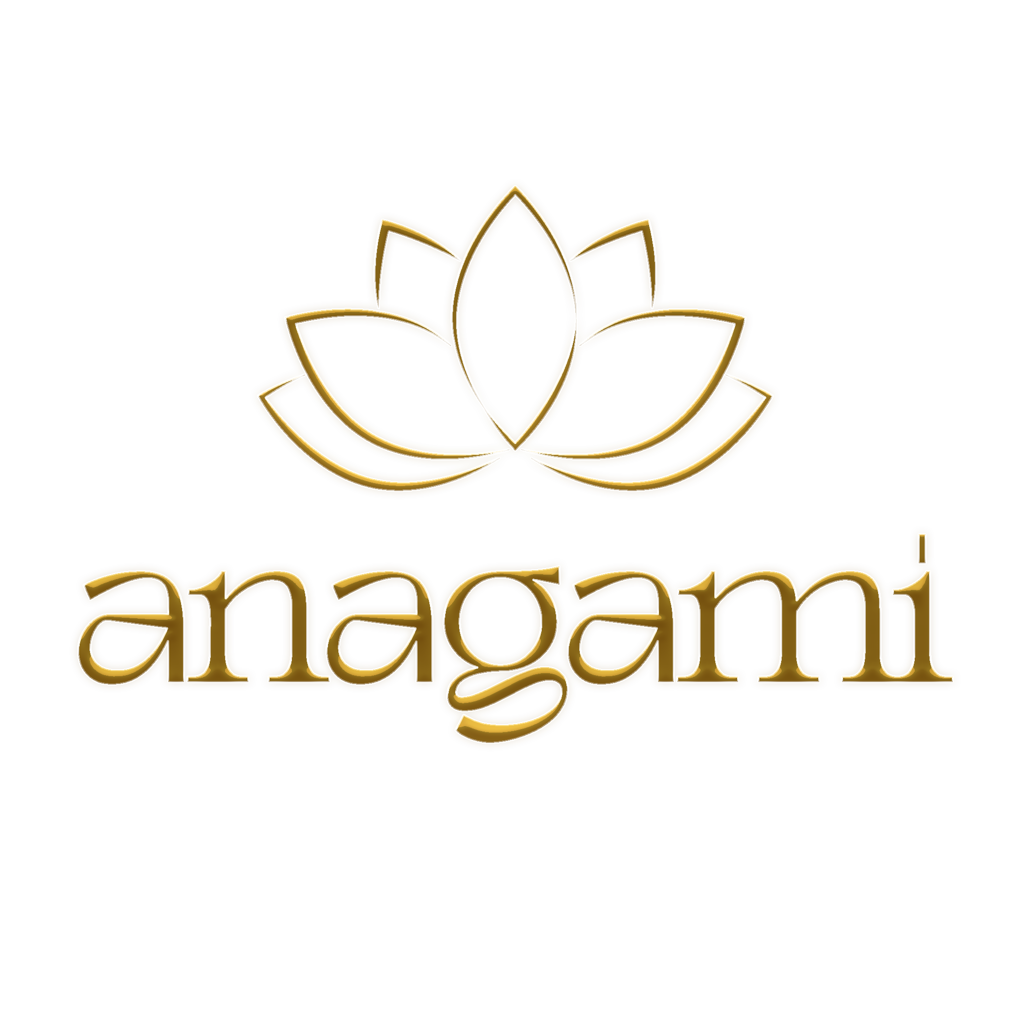 Anagami Wellness logo